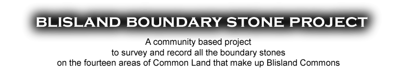 The Blisland Boundary Stone Project.