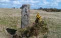 The Blisland Boundary Stone Survey.