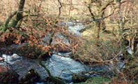 The Rivers of Bodmin Moor